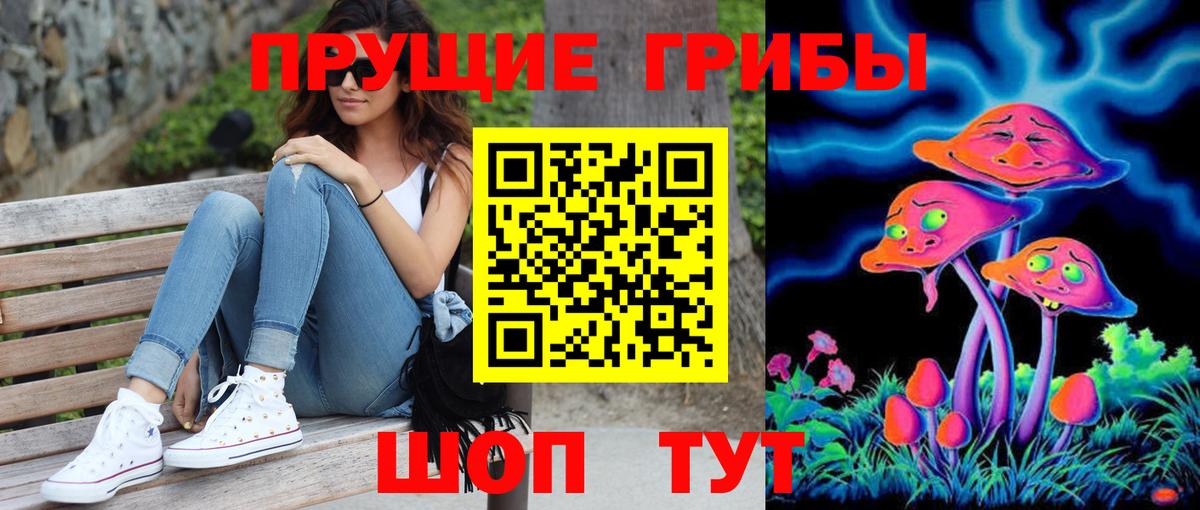 Галлюциногенные грибы мухоморы  купить наркоту  Курганинск  Вход с VPN 